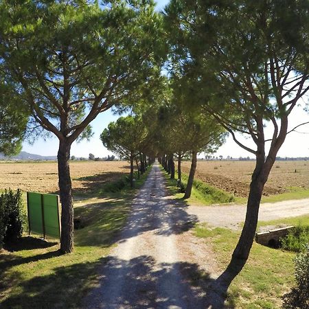 Terra Di Cortonaヴィラ エクステリア 写真